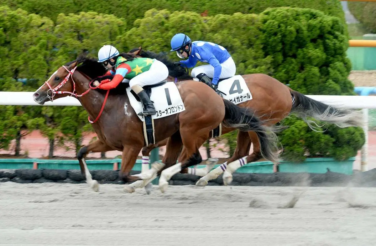 【画像・写真】【函館6R・新馬戦】スターオブロンドンが接戦を制す　古川奈「最後まで一生懸命走りました」