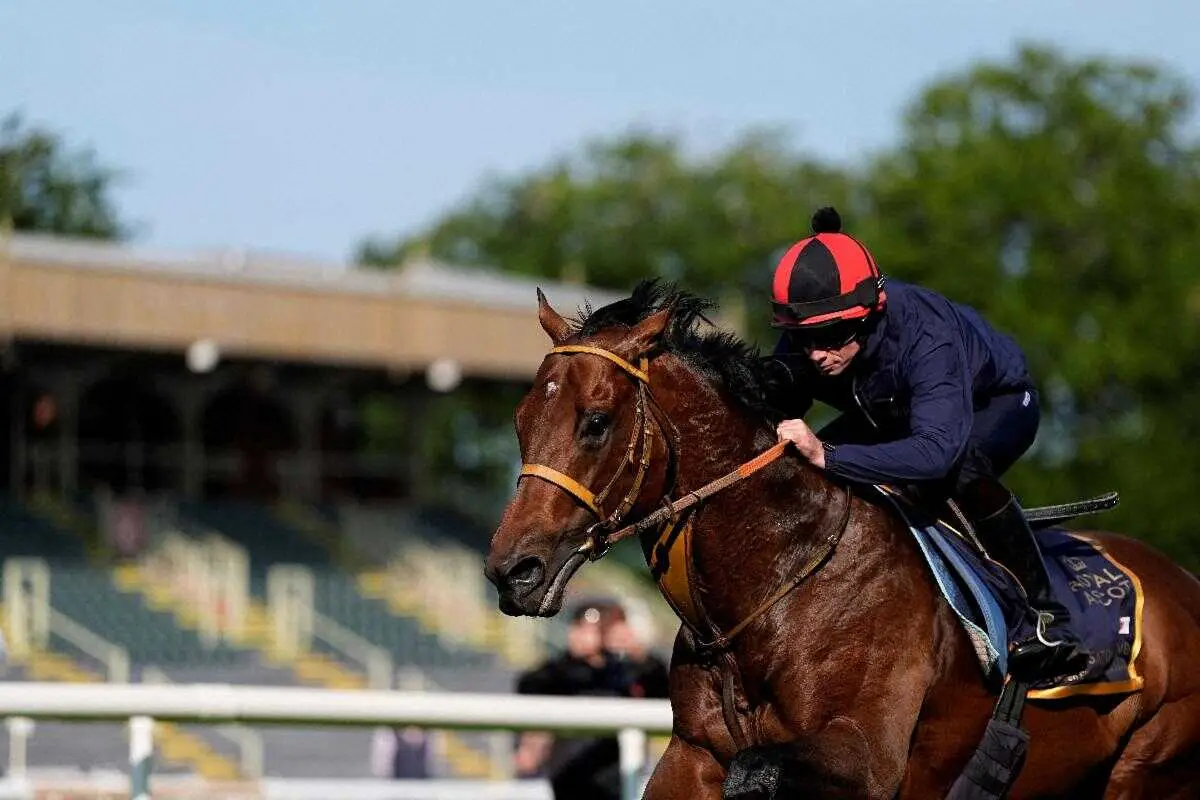 【画像・写真】英QE2ジュビリーS出走サトノレーヴは大外16番枠　ロイヤルアスコット日本調教馬初勝利なるか