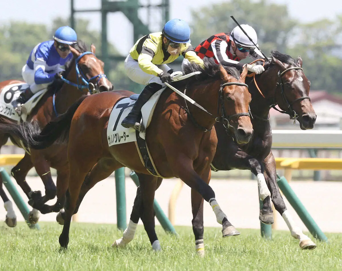 【画像・写真】【東京5R・新馬戦】5番人気サノノグレーターが鋭く差し切る