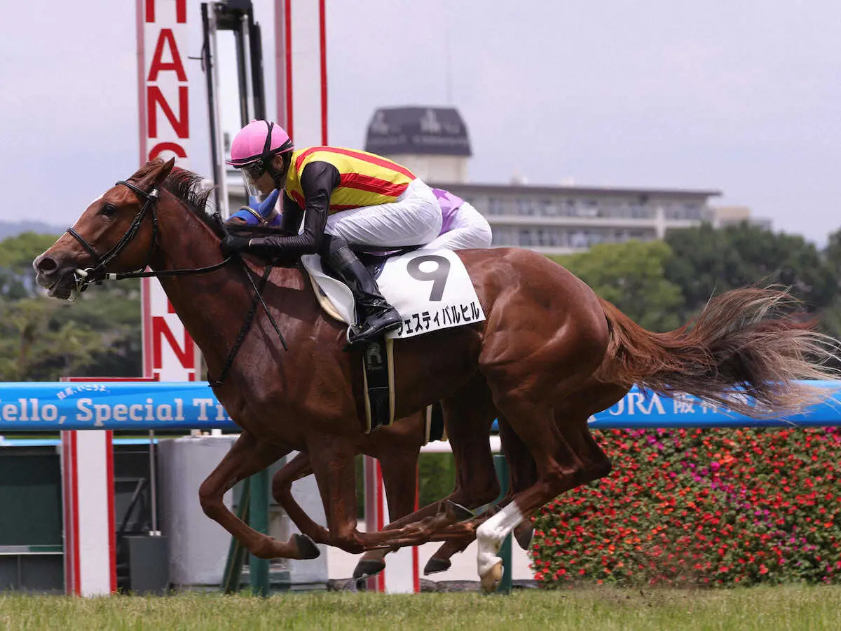 【画像・写真】【阪神5R・新馬戦】1番人気フェスティバルヒルV　坂井「今後が楽しみな馬」