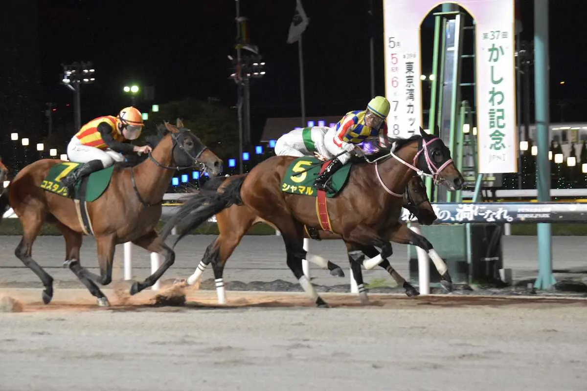 【画像・写真】【浦和競馬　25日発走さきたま杯　枠順決まる】シャマル2枠2番　コスタノヴァ3枠3番