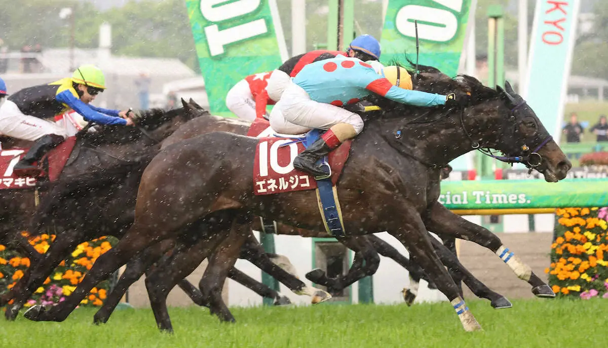 【画像・写真】無敗3連勝中の3歳馬エネルジコは8・31新潟記念で始動　青葉賞後は態勢が整わず日本ダービー見送り