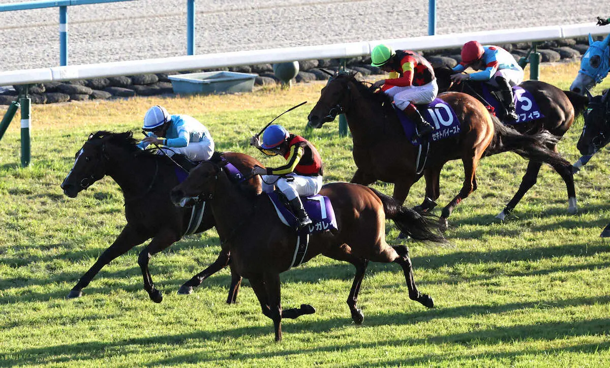 【画像・写真】【エリザベス女王杯】1番人気レガレイラが貫禄V！初の牝馬限定戦勝利で3つ目G1制覇　戸崎ガッツ＆名言