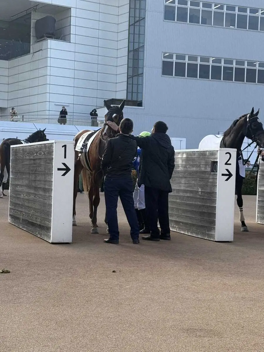 【画像・写真】【中山6R・2歳新馬戦】単勝205・7倍　最低人気タイセイエムロードV　3連単130万円超の波乱演出