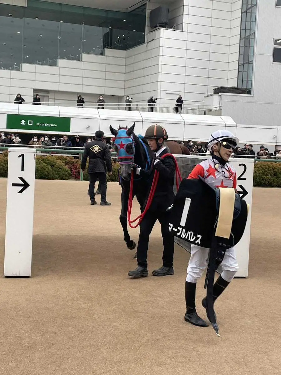 【画像・写真】【中山9R・黒松賞】6番人気マーブルパレスが逃げ切り勝ち　石橋「大した馬だよ」とべた褒め