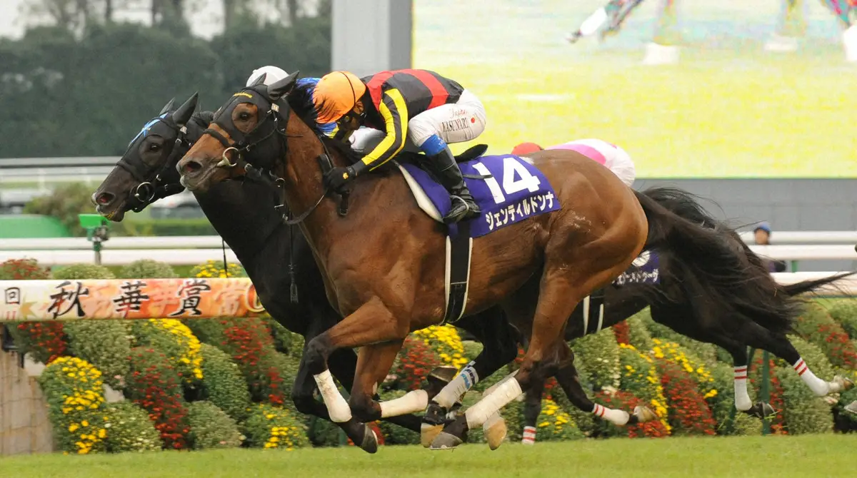 【画像・写真】佐々木主浩氏「あの馬がいたから…」　愛馬の勝負根性を鍛えてくれた今年亡くなった“名牝”に感謝！