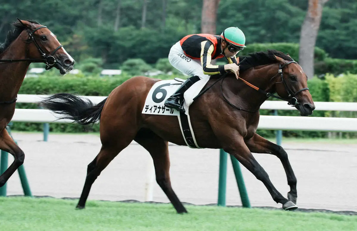 【画像・写真】【阪急杯　展望】3連勝中ディアナザール勢いに乗って重賞初Vだ　