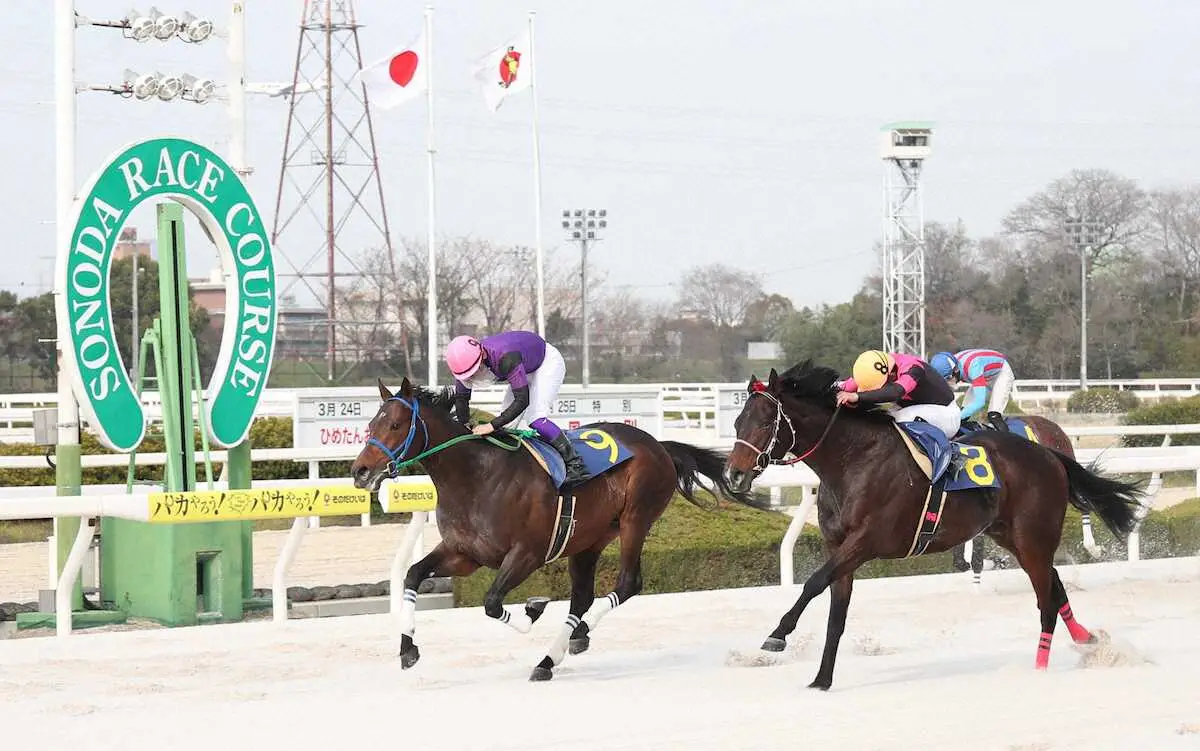 【画像・写真】【そのだプレーバック】JRAで5勝の実績馬が転入初戦で勝利　当面の最大目標は…