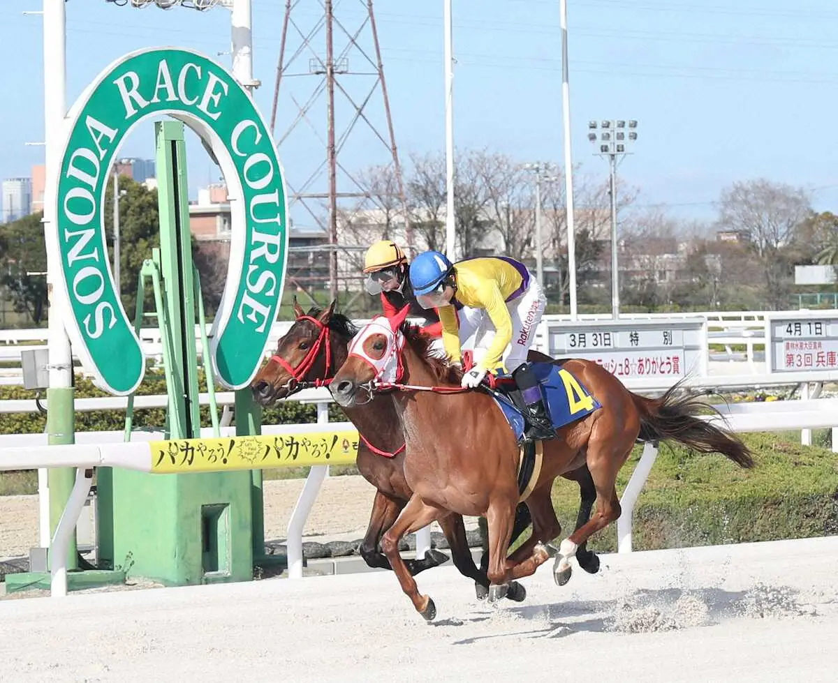【画像・写真】兵庫3歳牝馬特別を制したコマンタレブー（手前）