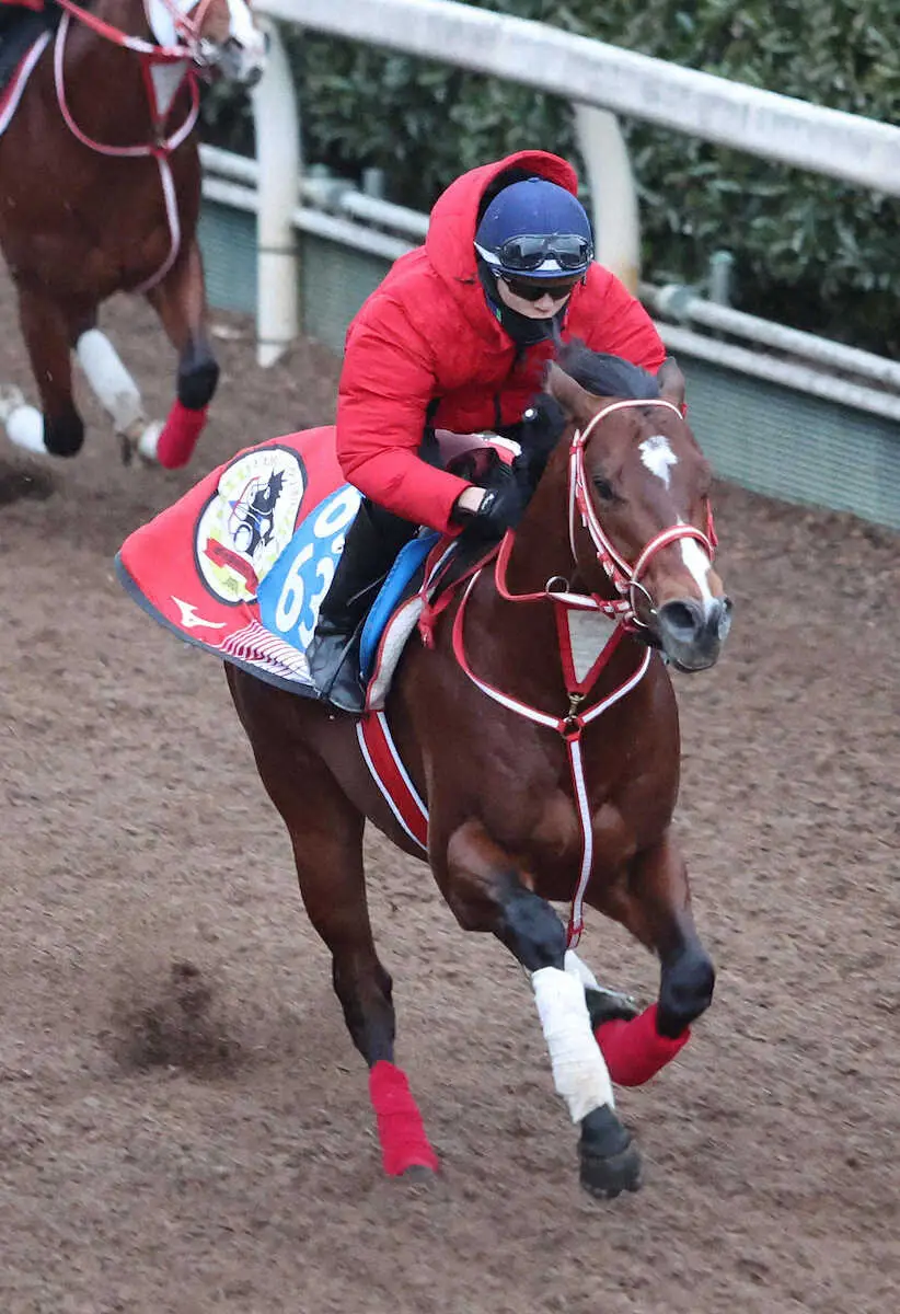 【画像・写真】アメリカンステージは後方に沈む　日本調教馬初のドバイゴールデンシャヒーン制覇ならず