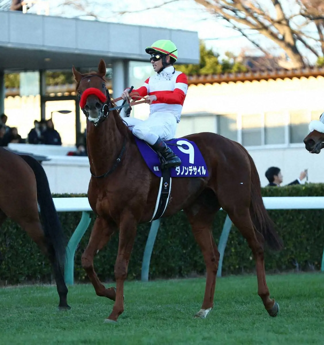 【画像・写真】【大阪杯展望】ダノンデサイルVSクロワデュノール　ダービー馬対決にも注目の好カード
