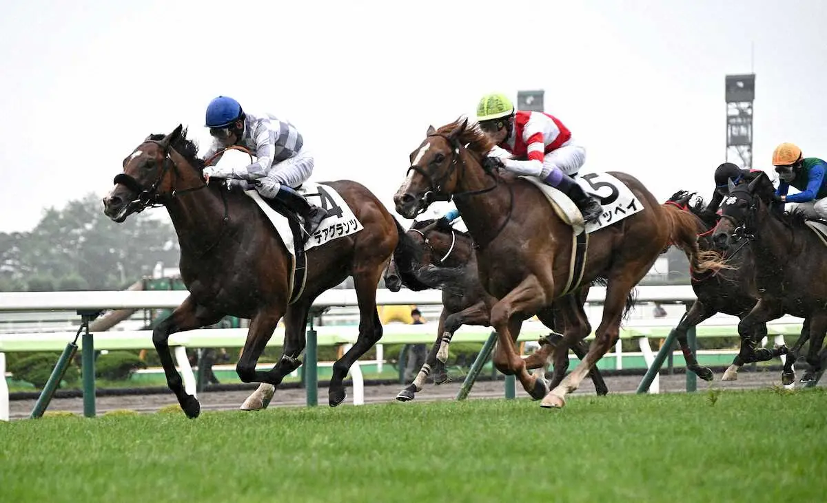 【画像・写真】【函館5R・2歳新馬戦】4番人気デアグランツが後方進出から一気V　浜中「豊さんの馬が来て…」